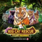 Big Cat Rescue Megaways thumbnail