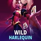 Wild Harlequin thumbnail